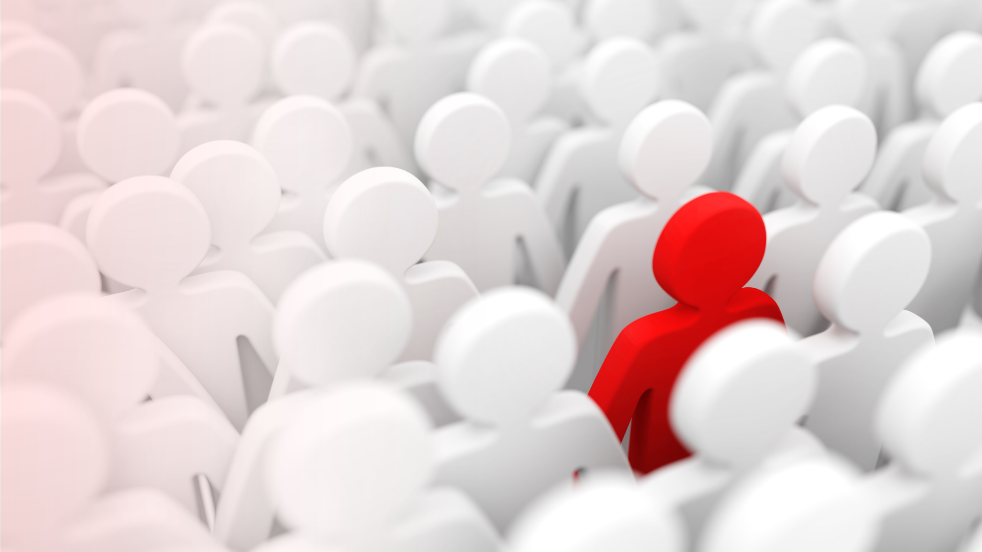 Waikato & Hamilton Property Manager